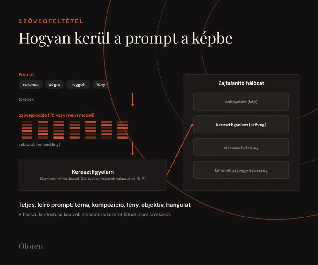 Text encoder and cross-attention: how the prompt gets into the image