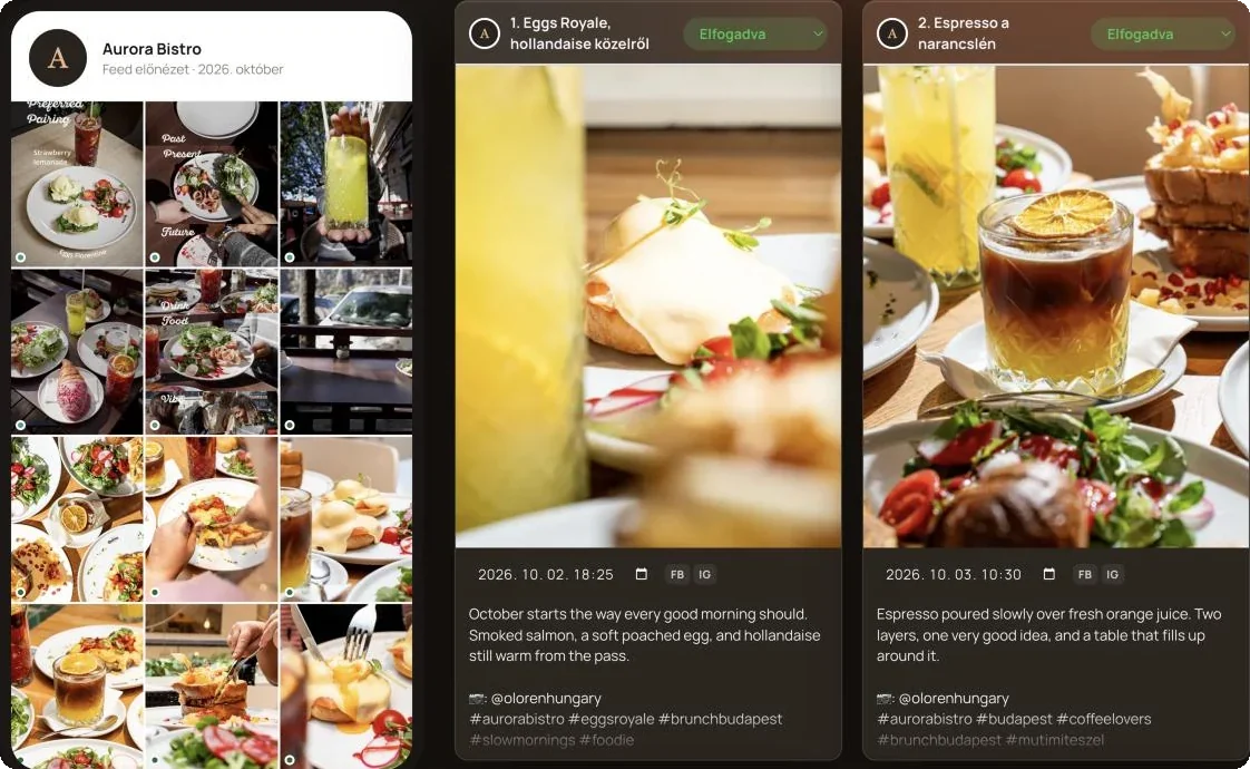 Feed-Vorschau und freigegebene Beiträge im Oloren Hub