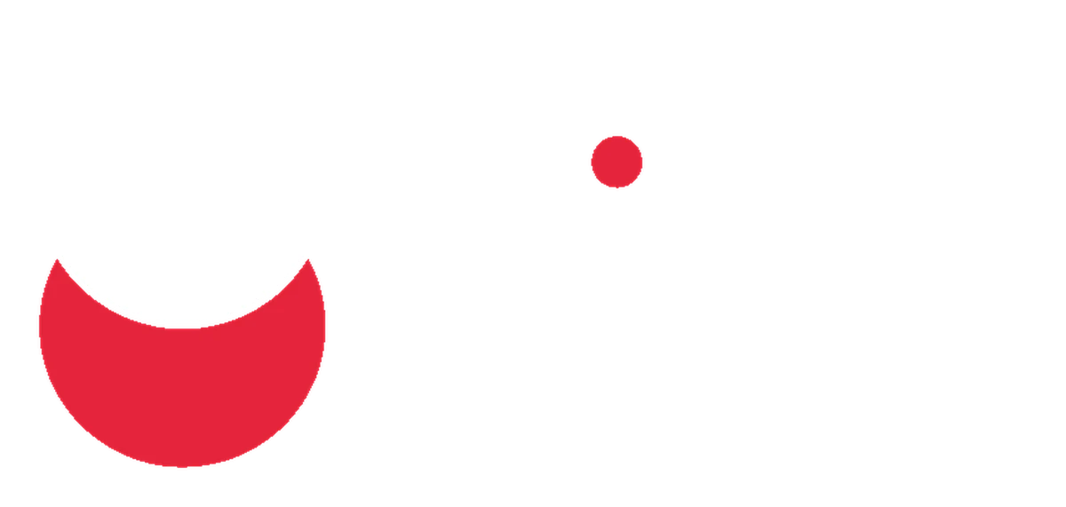 Flink logo